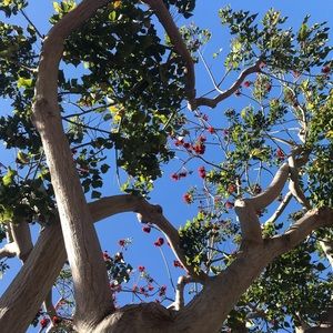 Meet your Posher, Kerly